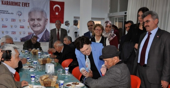 AK Parti’den ’Büyüklerimize Hürmet Kararımız Evet’ programı