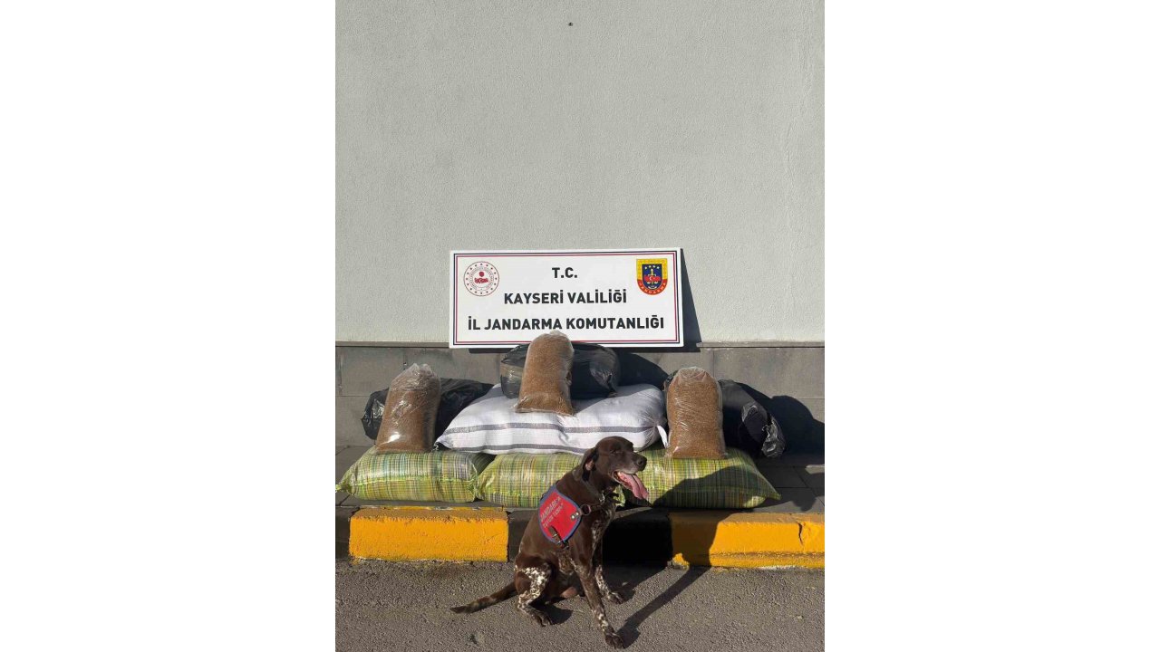 Kimlik Kontrolü İçin Durdurulan Otobüsten 230 Kilogram Kaçak Tütün Çıktı