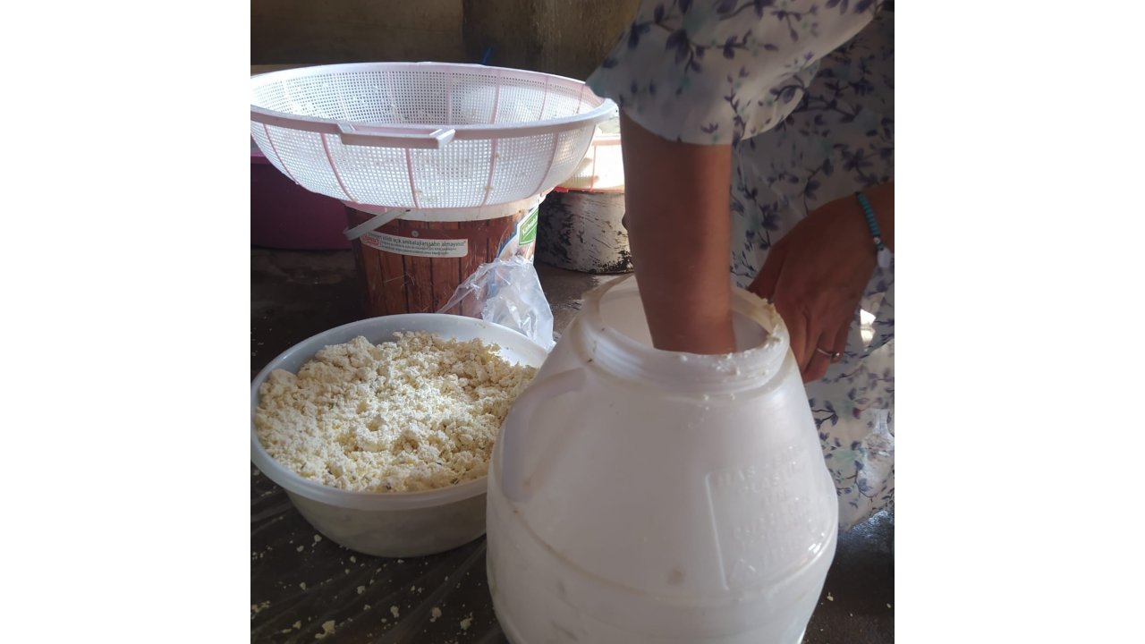 Kuma Gömülerek Olgunlaştırılan Küp Peyniri, Asırlık Lezzetini Koruyor