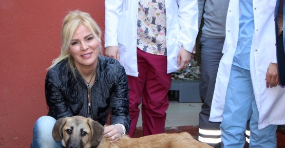 (Özel Haber) Ölümü iki kez yenen ’Kuyu’ yeni yuvasında