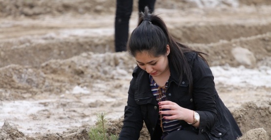 Niğdeli 145 Şehit için fidan diktiler