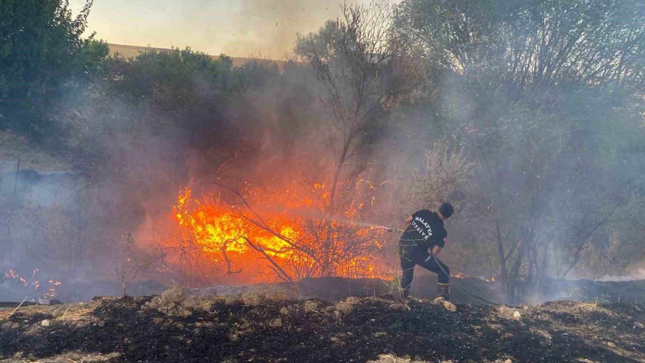 Malatya’da Anız Yangınında 50 Dönümlük Arazi Zarar Gördü