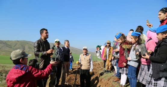 Kahramanmaraş’ta 250 bin fidan toprakla buluşacak