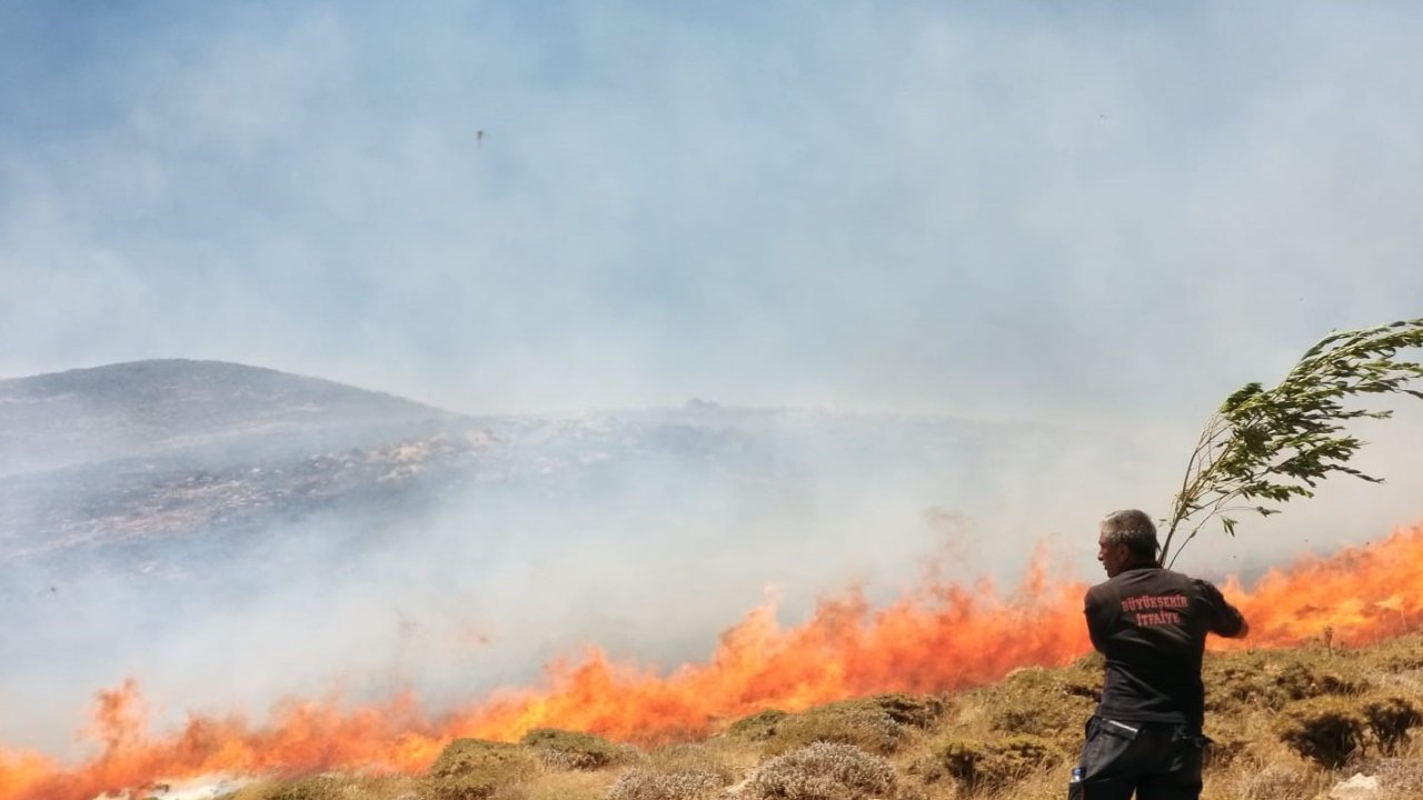 Bahçesaray’da Arazi Yangını