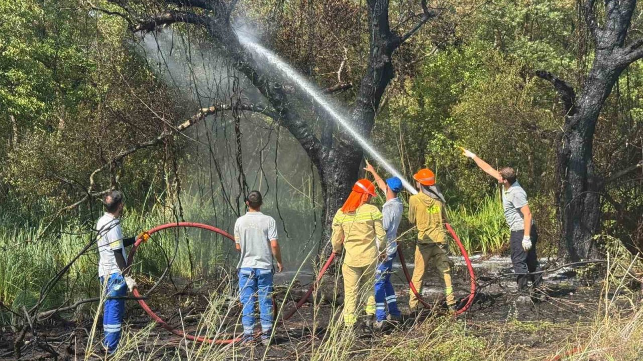 Fethiye Akmaz Plajı’nda Çıkan Yangın Kontrol Altına Alındı