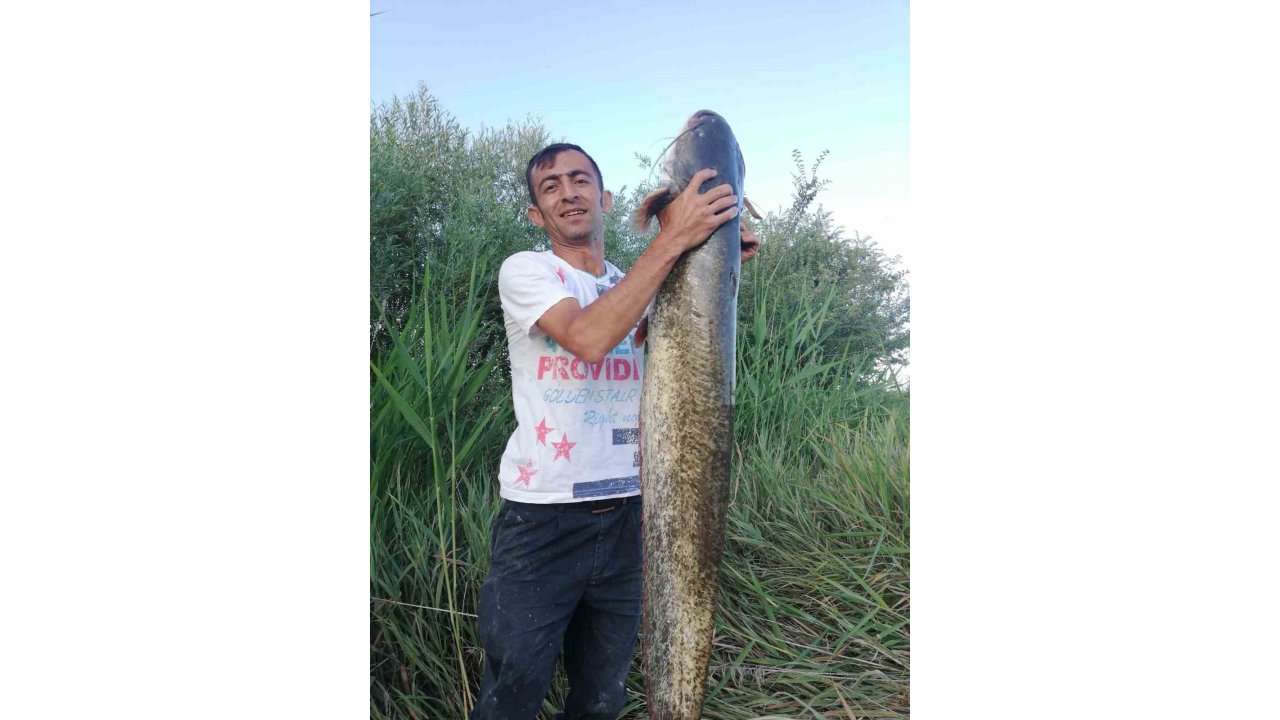 Timsah Sandılar Balık Çıktı