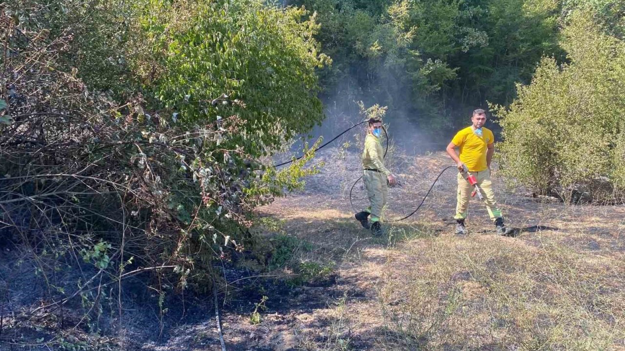 Kırklareli’de Orman Yangını