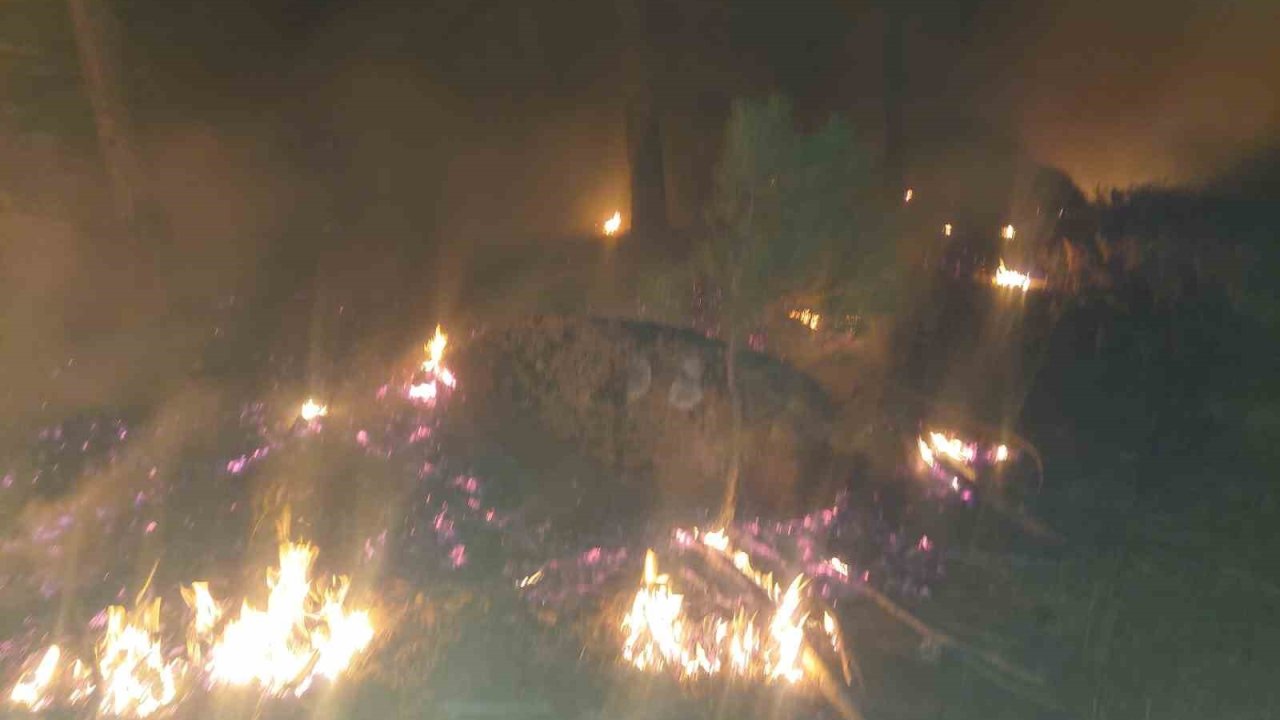 Yatağan’daki Orman Yangını Söndürüldü