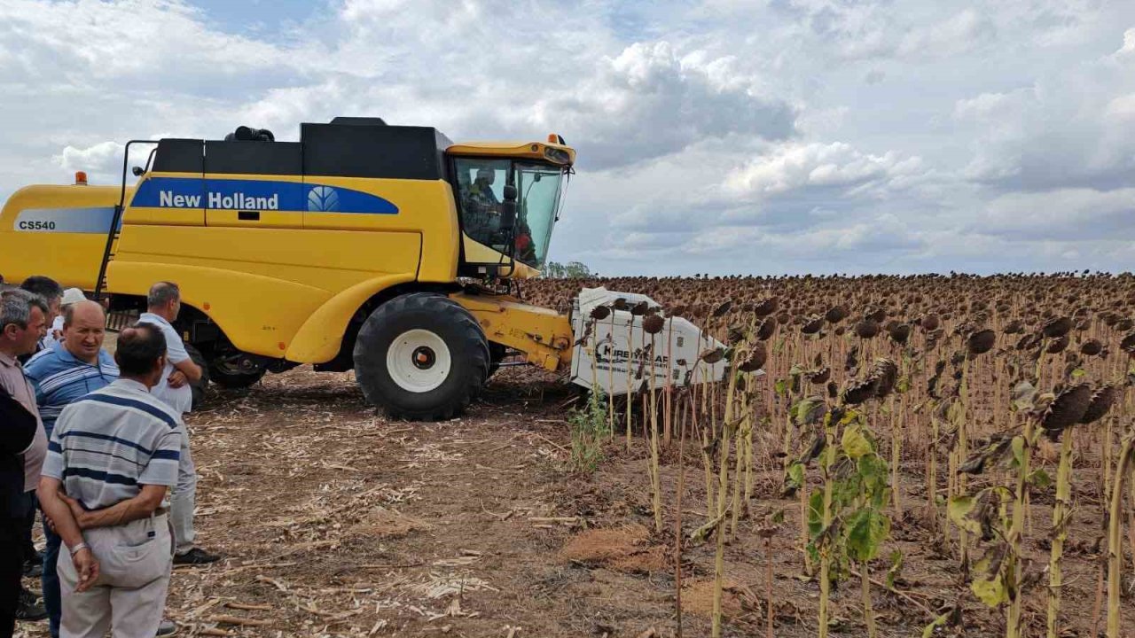 Tekirdağ’da Anıza Ekim Ayçiçeği Projesinde Tarla Günü Düzenlendi