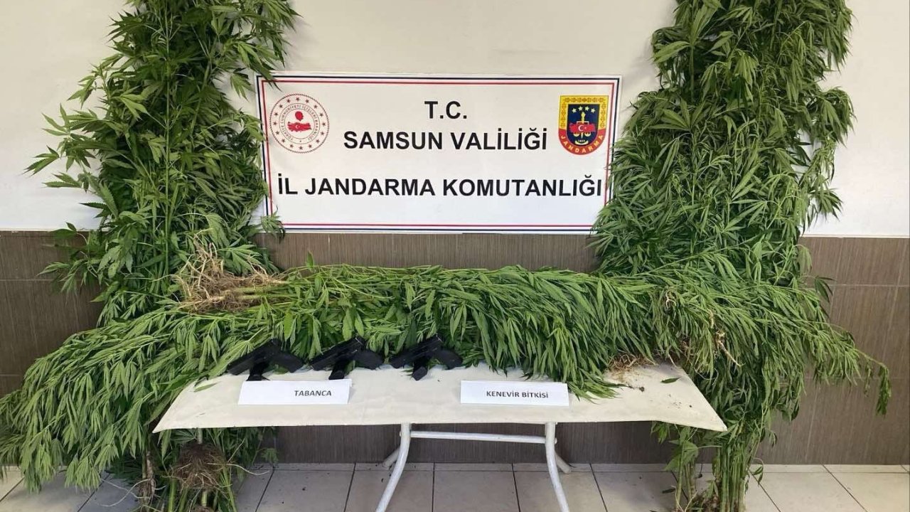 Samsun’da Jandarmadan Silah Ve Uyuşturucu Operasyonları: 4 Gözaltı