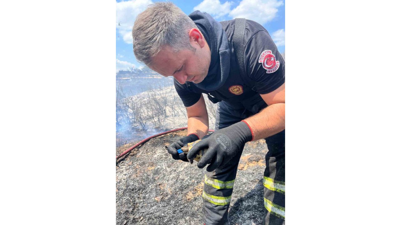 Alevlerin Ortasında Bir Damla Hayat