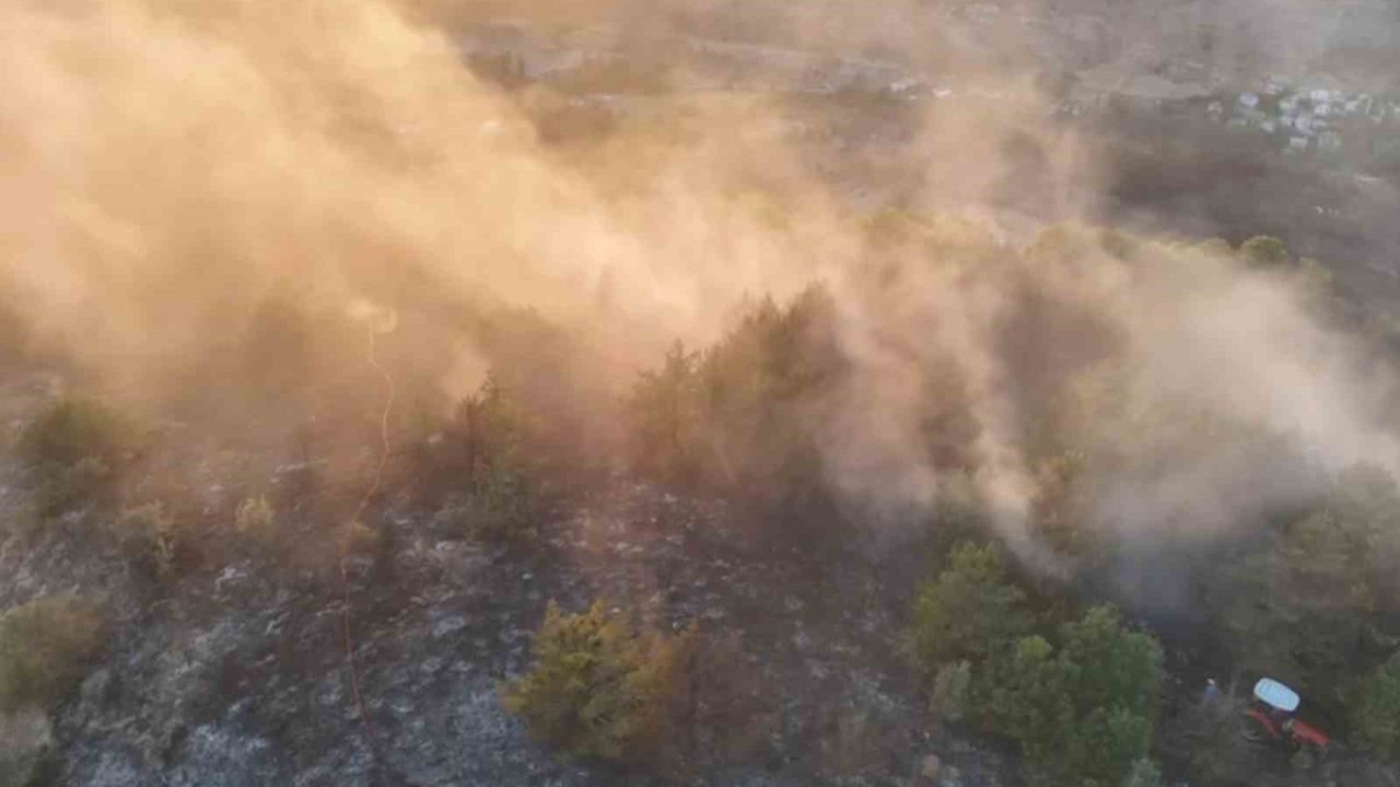 Ordu’da Ormanlık Alanda Çıkan Yangın Söndürüldü