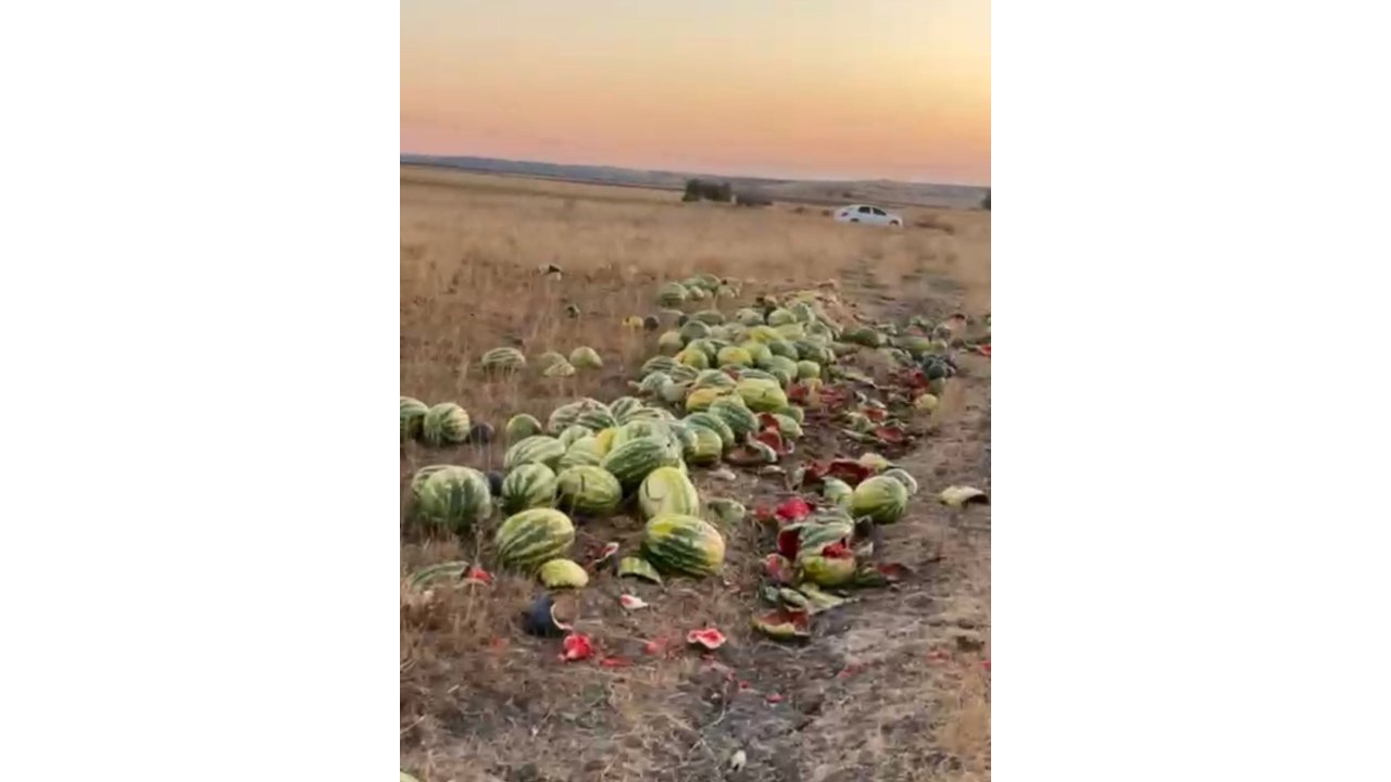 Tekirdağ’da İsraf Tepkisi: Karpuzlar Yola Saçıldı