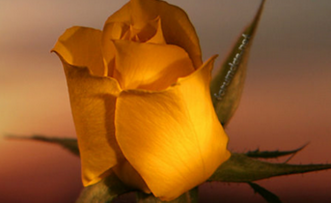 Kadir Gecesi Mesajları 2017, sevdiklerimiz mutlu ve huzurlu olsun