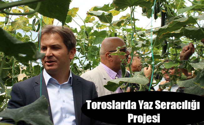 Toroslarda Yaz Seracılığı Projesi
