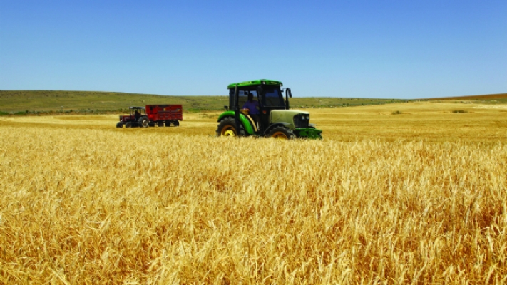 Kırsal Kalkınma Yatırımlarının Desteklenmesi Programı 12. Etap Tarıma Dayalı Ekonomik Yatırımlar