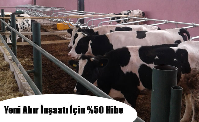 Yeni Ahır İnşaatı İçin %50 Hibe