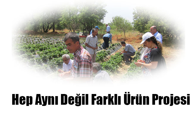 Hep Aynı Değil Farklı Ürün Projesi