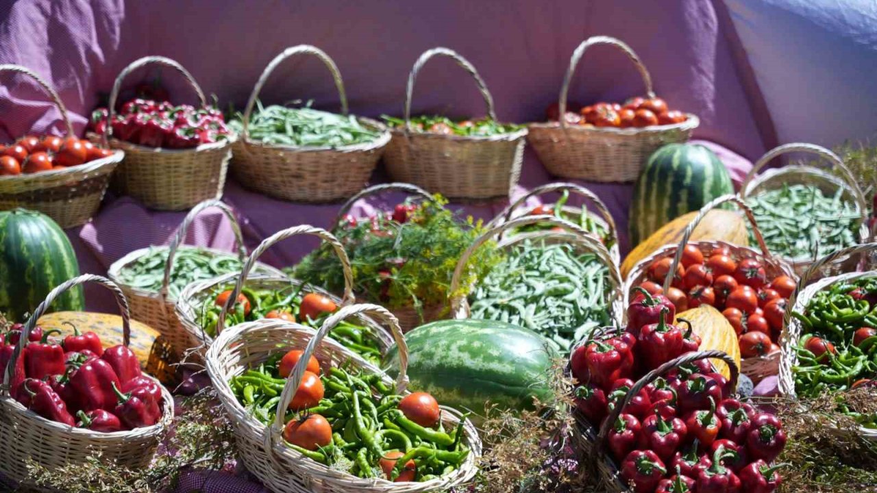 Uluslararası Çubuk Turşu Ve Kültür Festivali Başladı