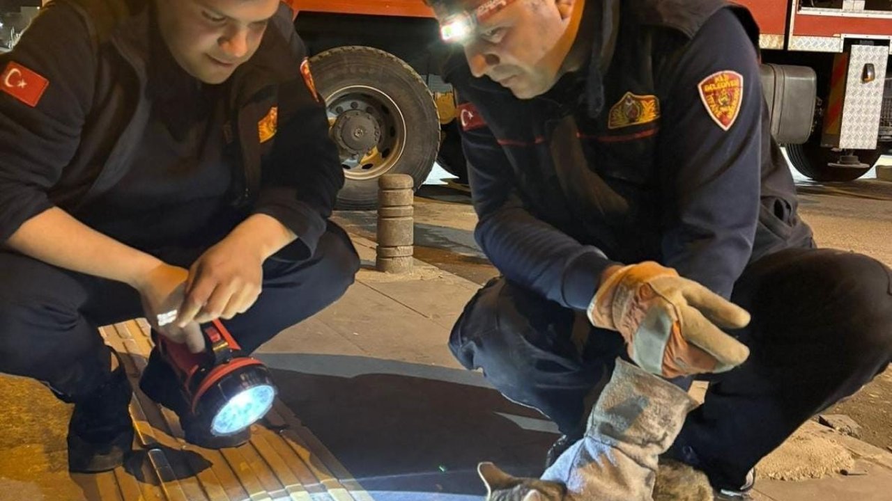 Kilis’te 3 Gündür Ağaçta Mahsur Kalan Kedi Kurtarıldı