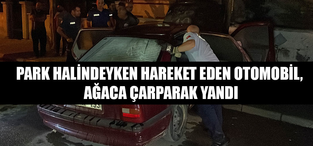 PARK HALİNDEYKEN HAREKET EDEN OTOMOBİL, AĞACA ÇARPARAK YANDI