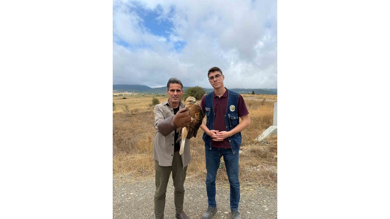 Kastamonu’da Yaralı Halde Bulunan Şahin Tedavi Altına Alındı