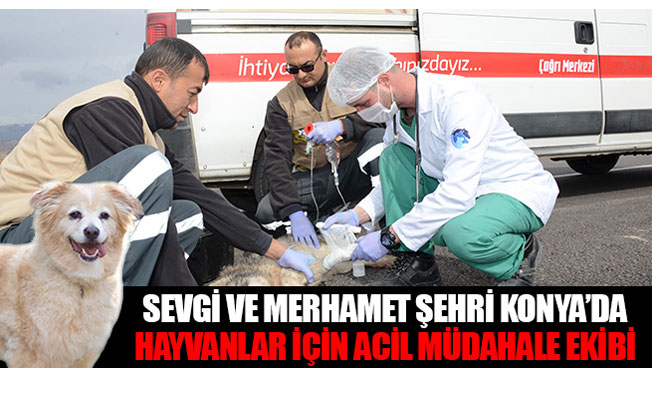Sevgi ve Merhamet Şehri Konya’da Hayvanlar İçin Acil Müdahale Ekibi