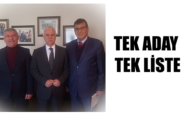TEK ADAY TEK LİSTE