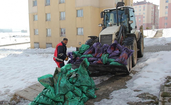 BİTLİS BELEDİYESİNDEN ÇEVRE TEMİZLİĞİ