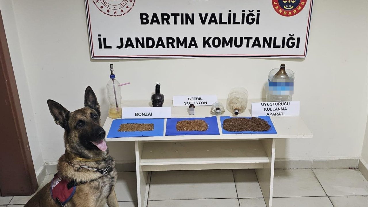 Bartın’da Uyuşturucu Operasyonu: 1 Gözaltı