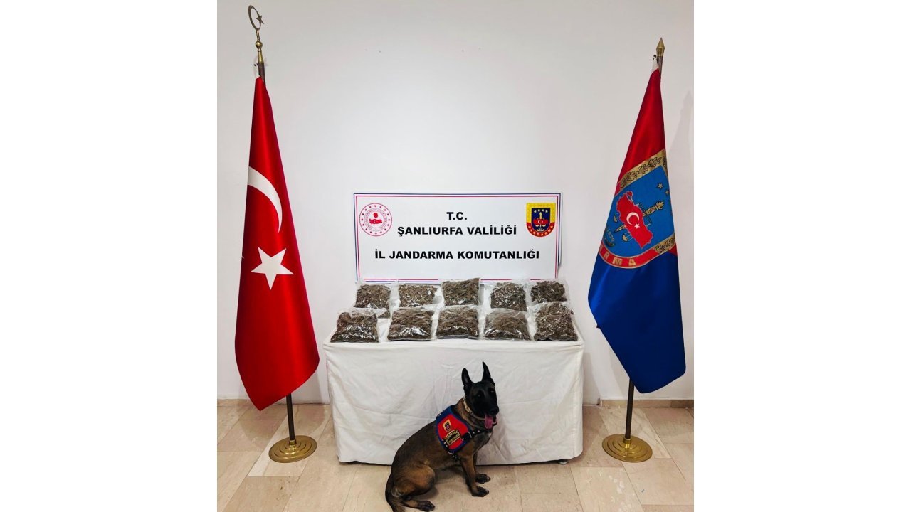 Şanlıurfa’da Uyuşturucu Operasyonu: 1 Gözaltı