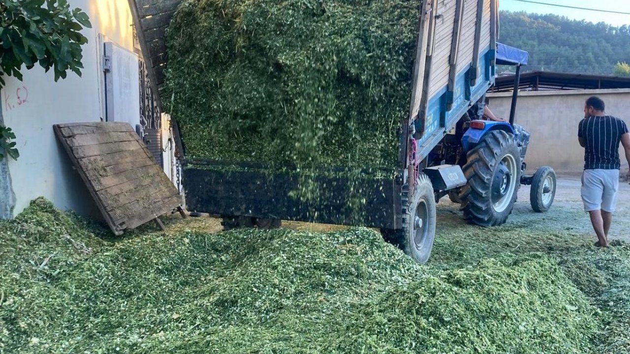 Besiciler Mısır Slaj Yem Yapımına Başladı