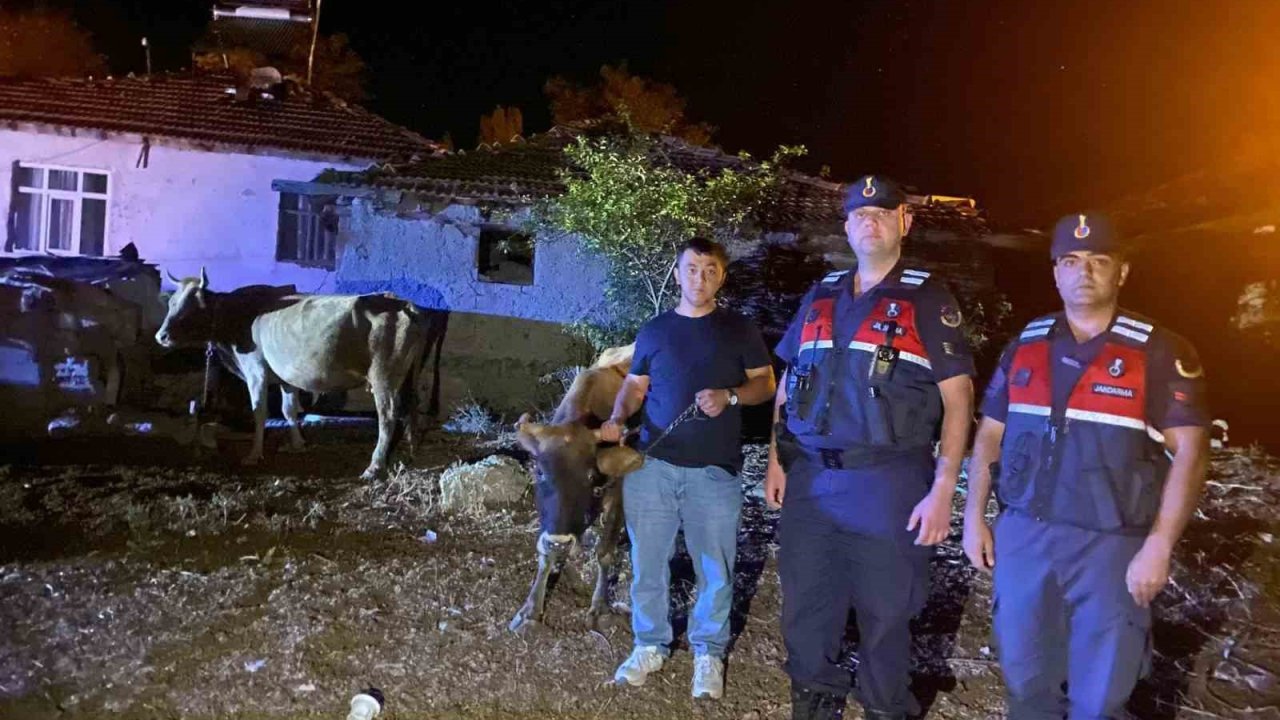 Hayvanları Kaybolan Çiftçinin İmdadına Jandarma Ekipleri Yetişti