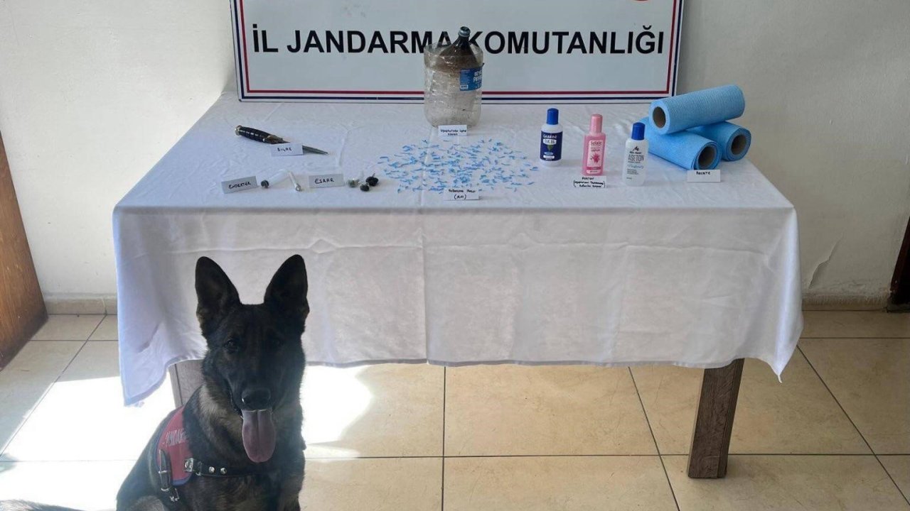 Bitlis’te Jandarmadan Uyuşturucu Operasyonu