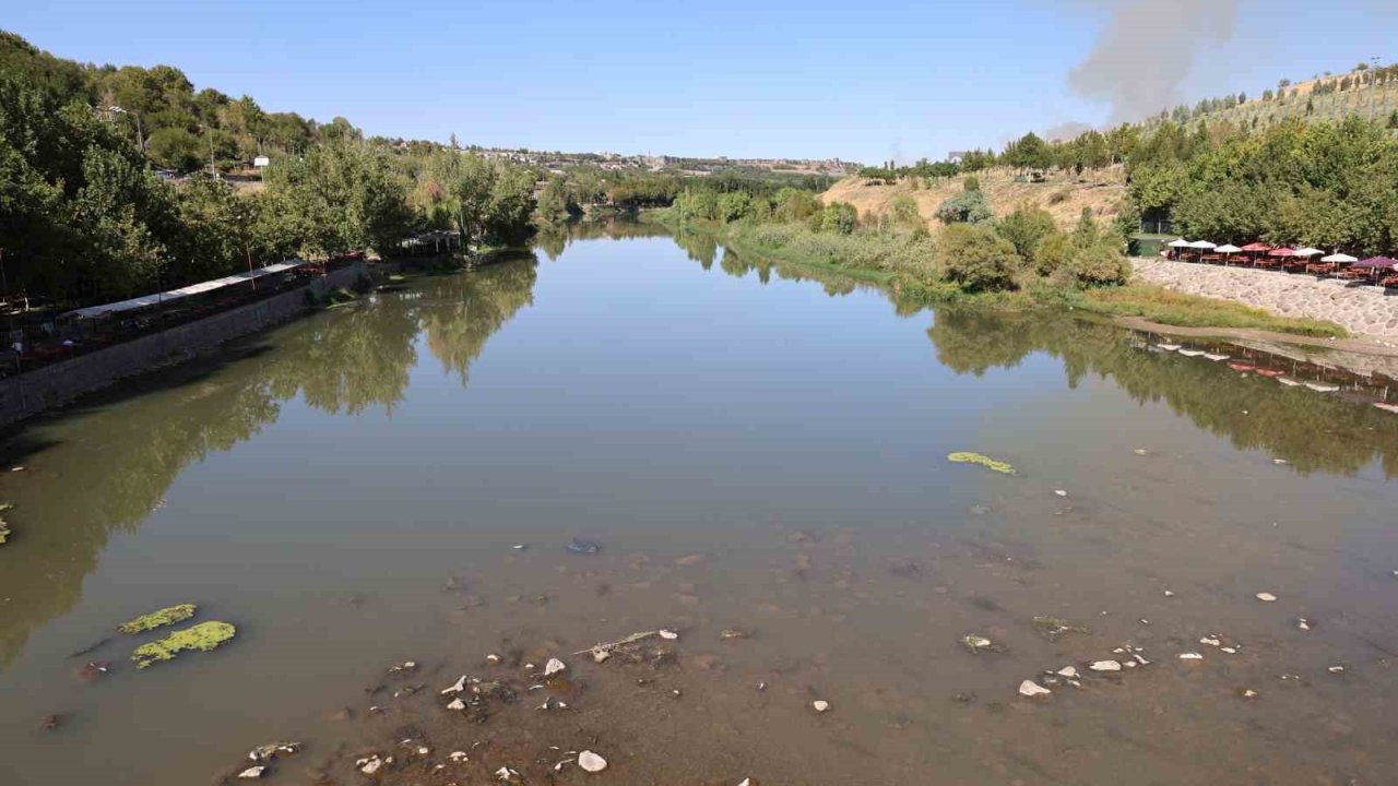 Dicle Nehri’nde Balık Ölümleri Görüldü