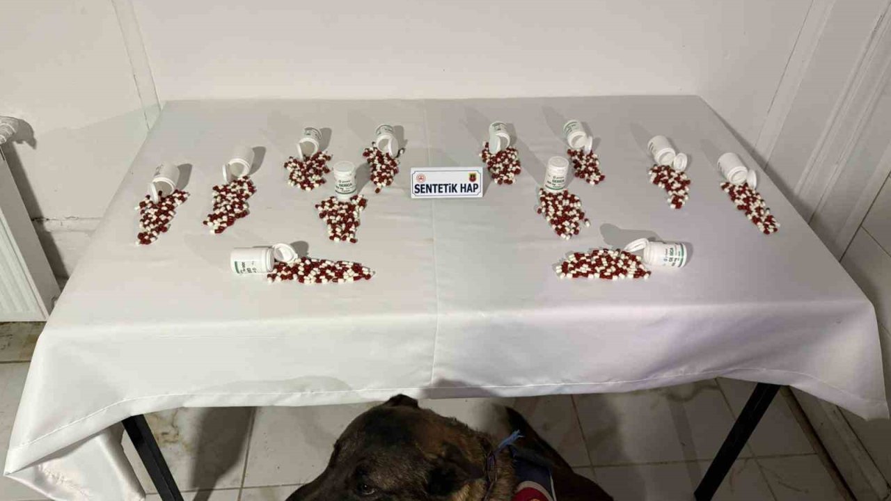 Tunceli’de Narkotik Köpeği ’ayar’ Bagaja Zulalanmış Uyuşturucuyu Buldu: 2 Şüpheli Yakalandı