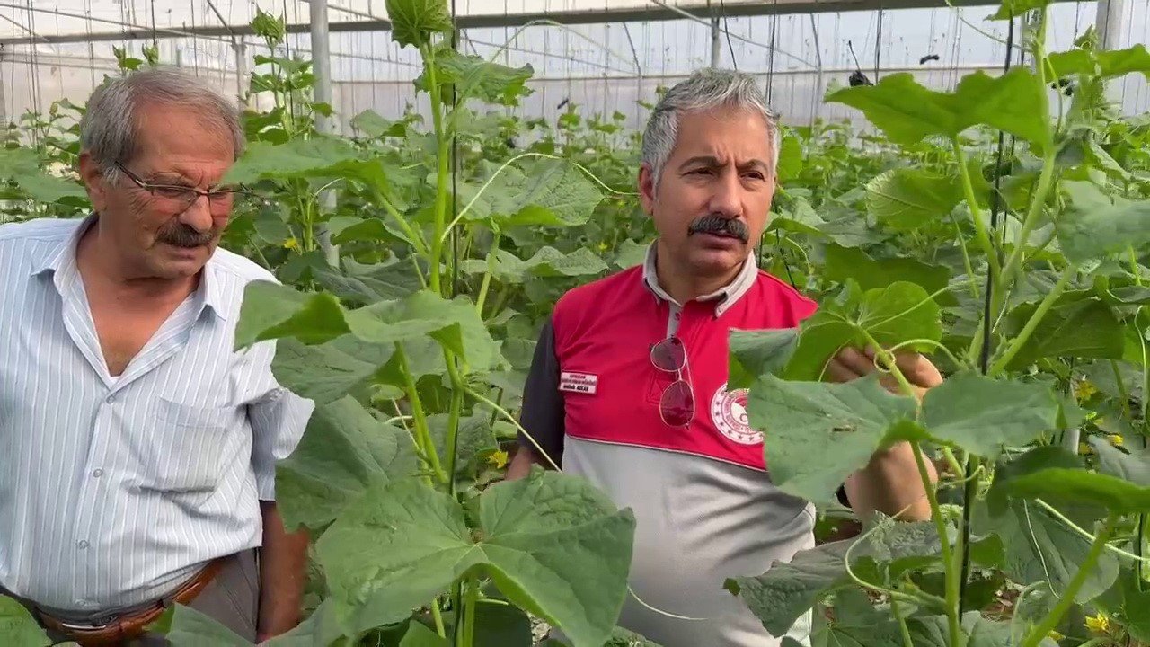 Adıyaman’da Sera-ges Projesiyle Tarımsal Üretim Hız Kazanıyor