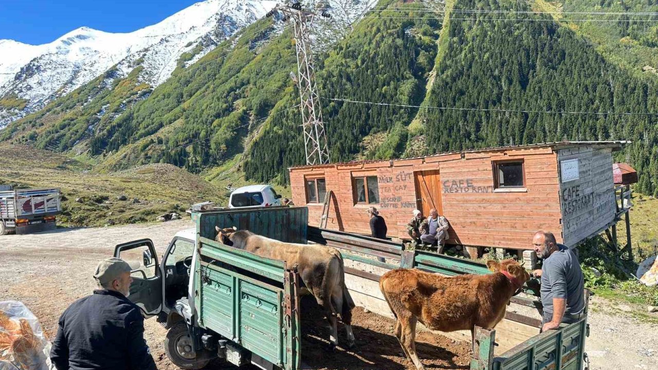 Rize’de Yaylalardan Dönüş Erken Başladı