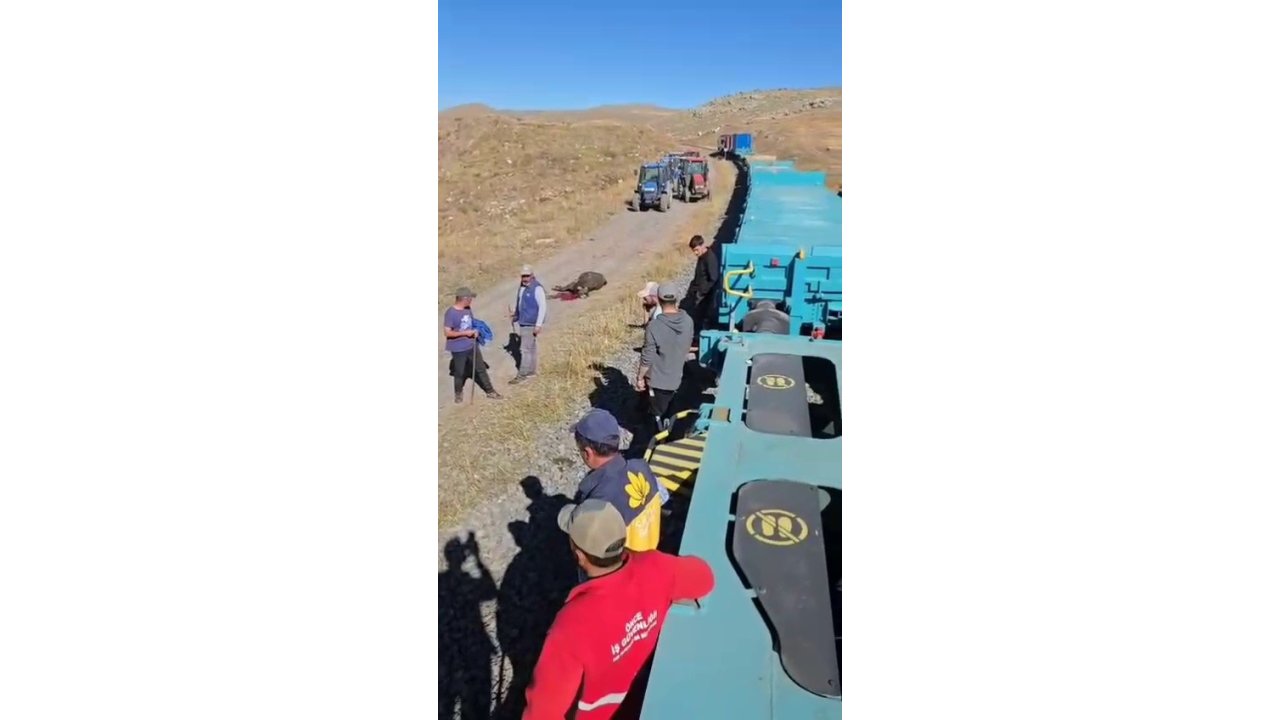 Kars’ta Yük Treninin Çarptığı 5 Hayvan Telef Oldu