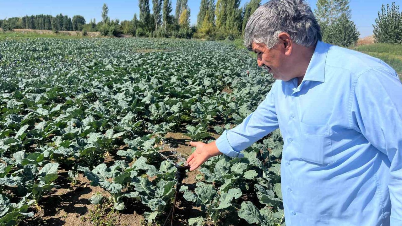 Çiftçilerin Kullandığı Kuyu Suları 2 Metreye Kadar İndi
