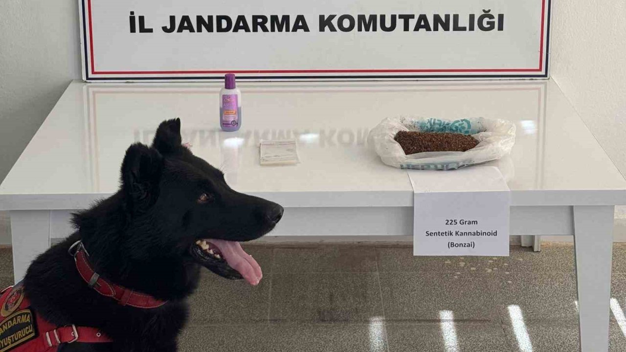 Muş’ta Uyuşturucu Operasyonu: 2 Gözaltı