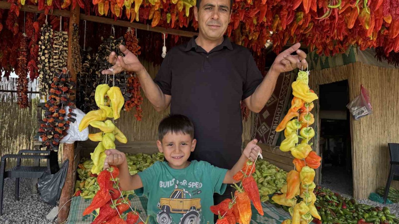 Başkan Sağınç Tescilli Kale Biberini Tanıtmak İçin Ailesiyle Birlikte Kolları Sıvadı