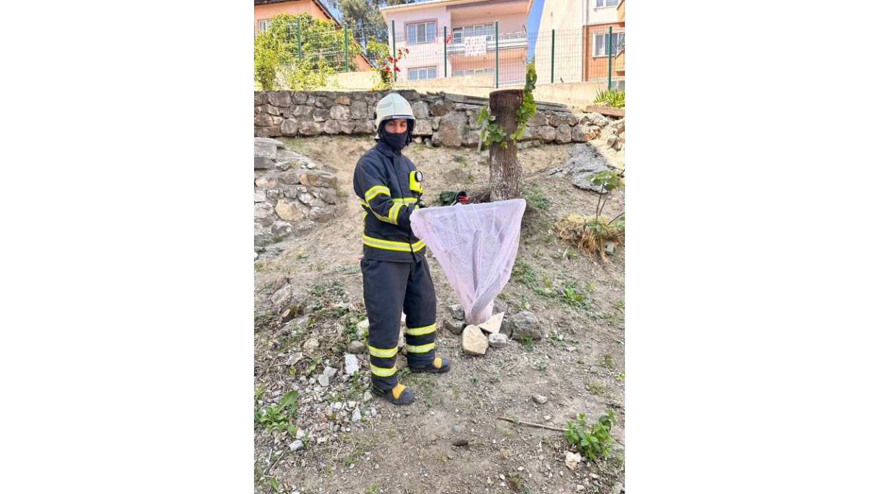Bilecik’te Caddede Yakalanan ’oluklu Kertenkele’ Doğaya Salındı
