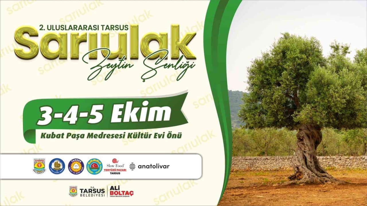 Tarsus’ta ’sarı Ulak Zeytin Şenliği’ 3 Ekim’de Başlıyor