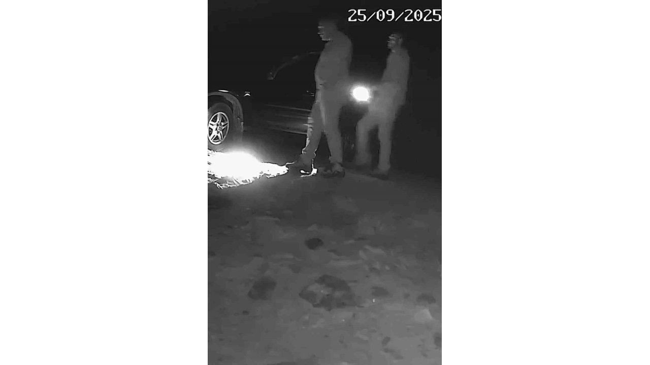 Boz Ayı Avlayan İki Avcı Fotokapana Yakalandı