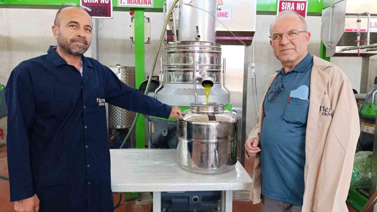 Köprübaşı’nda Zeytin Sıkım Sezonu Başladı