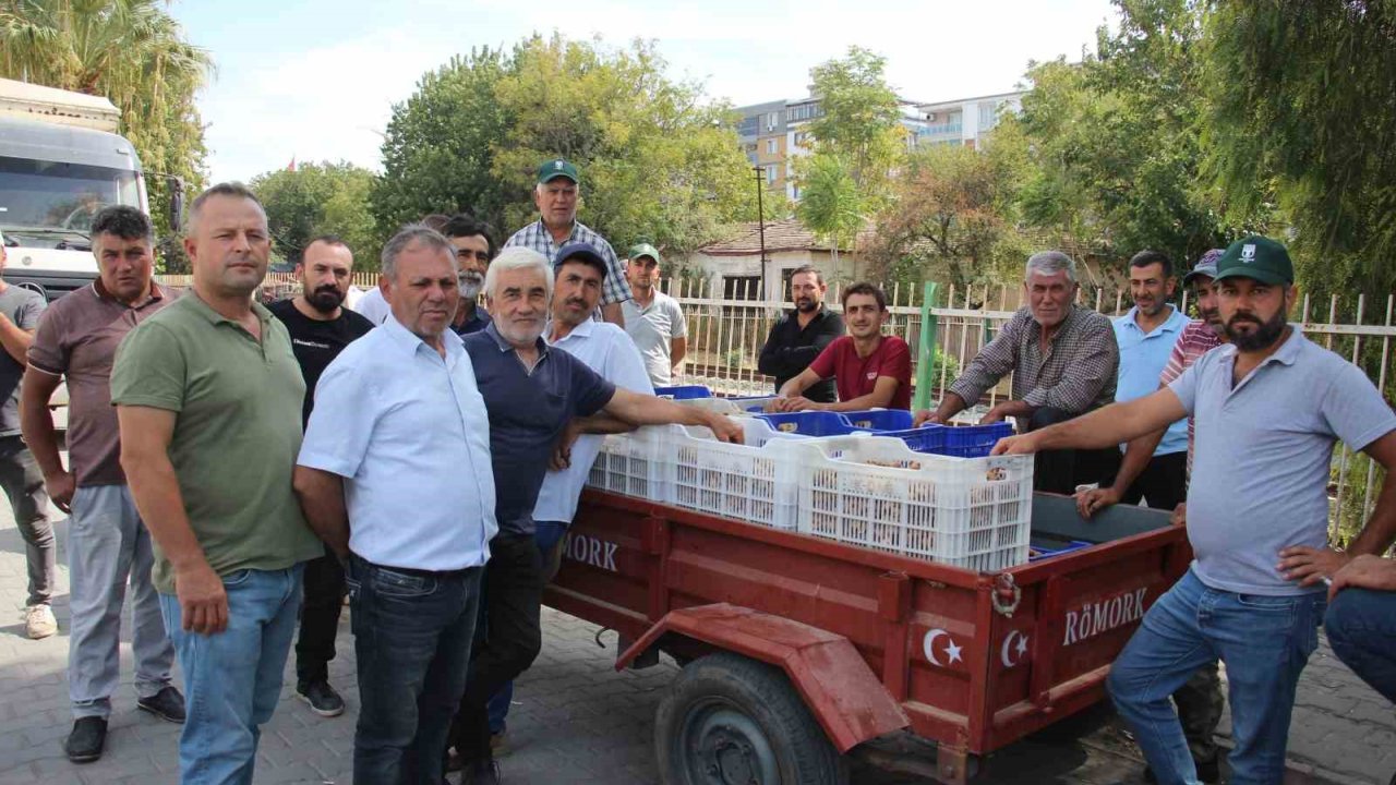 Tariş Alımları Erken Kapattı, Üretici Tüccara Tepki Gösterdi