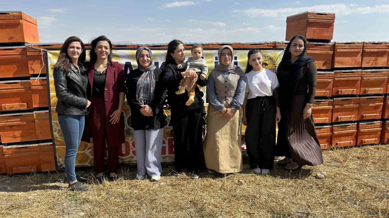 Yüksekova’da Arıcılığa Kadın Eli Değiyor:
