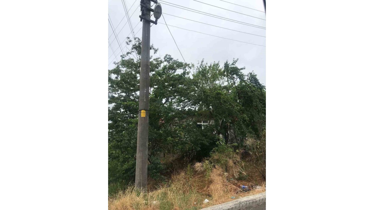 Ağaçların İçinden Geçen Elektrik Telleri Tehlike Saçıyor
