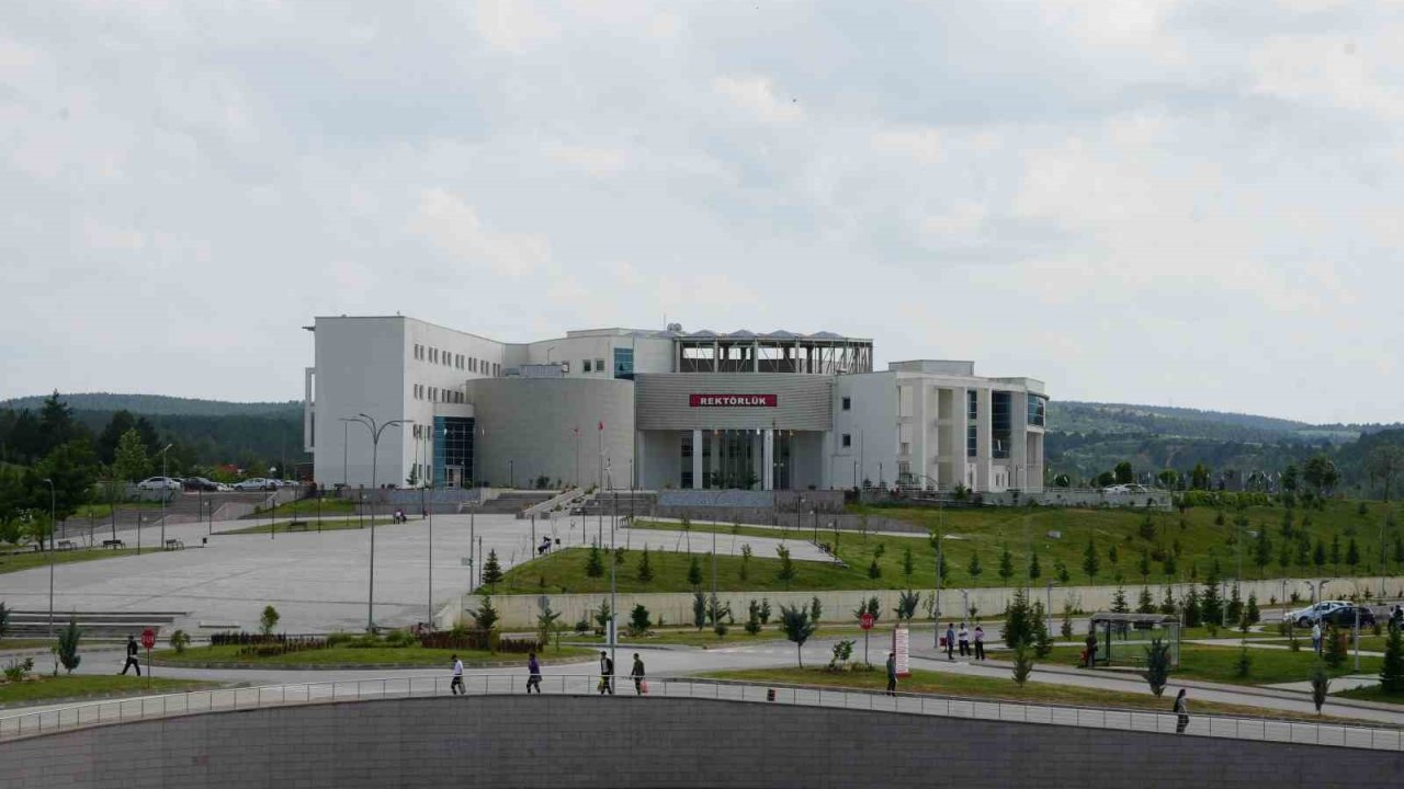 Kastamonu Üniversitesi,